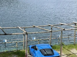 Seneca Blue Lotus Emira Photo Thread