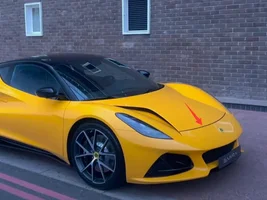 Yellow Emira at Eletre launch
