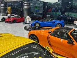 Paint Protection Film (PPF) and Wrap for your Emira