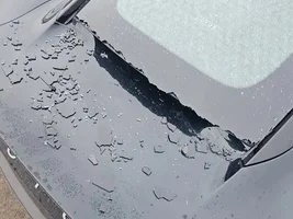Replacing rear window