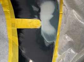 Paint blistering issue update