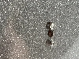 Poll for Those with Paint Blistering / Bubbling Defect