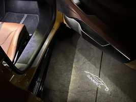Puddle/Footwell lights