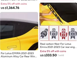 Replacement carbon doors, possible?