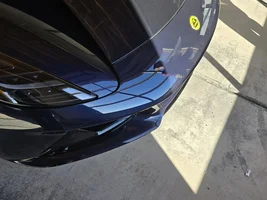 Vehicle delivered missing paint.