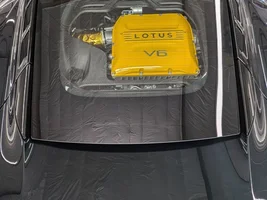 Dark Verdant Lotus Emira Photo Thread
