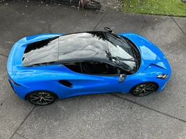 Appearance of Seneca Blue in person