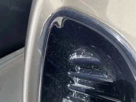 An argument for installing PPF at the Lotus dealership
