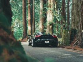 2024 Lotus Emira First Edition V6 Dark Verdant