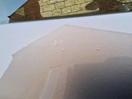 Poll for Those with Paint Blistering / Bubbling Defect