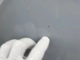 Paint blistering issue update