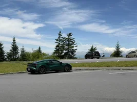 The InvasiveSpecies Racing Green - It really is the best green