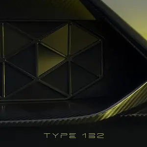 lotus type 132 grille.jpeg