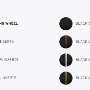 Steering wheel options.JPG
