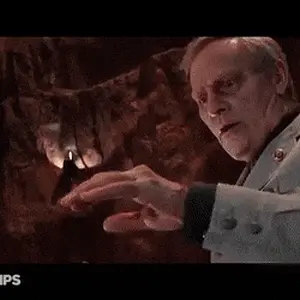 IMG_7490.gif