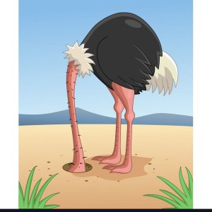 ostrich-hiding-head-in-sand-vector-895712.jpg