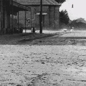 1716562721410.gif
