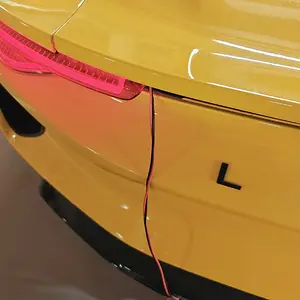 1000011488.jpg