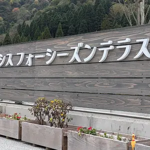 PXL_20241027_025958181.RAW-01.COVER.jpg