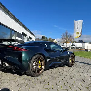lotus bronze 3.webp