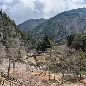 PXL_20250330_023627404.RAW-01.COVER.webp