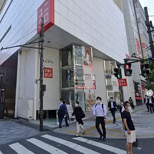 1744766903396.webp
