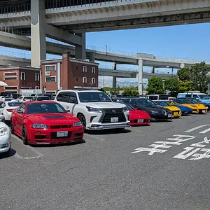 PXL_20250601_012558359.RAW-01.COVER.webp
