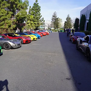 DSC03250 (Large).webp