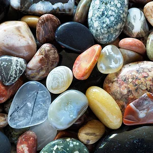 rock collection.webp