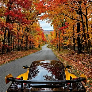 1765537515977 (2).webp