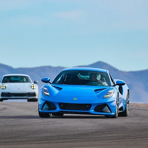 Lotus in the lead.webp