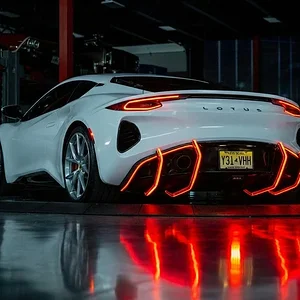 Lotus Blades.webp