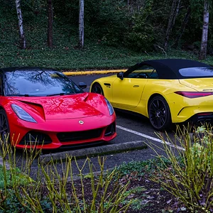 so red green and yellow.webp