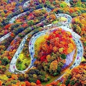 494682200_1263871265742896_1321727618908481195_n.webp