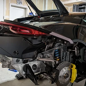 rear bum2.webp
