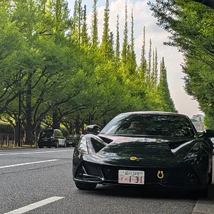 260420-IchoNamiki03.webp