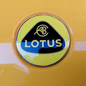 2025-03-04 Nose Badge Ding.webp