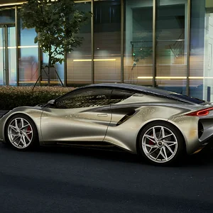 Lotus 12.webp
