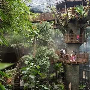 universeum rainforest.webp