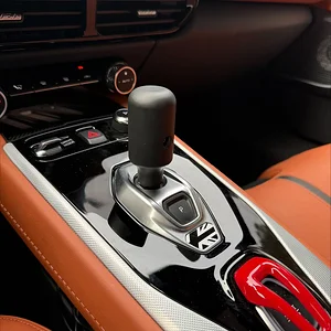 Shiftknob1.webp