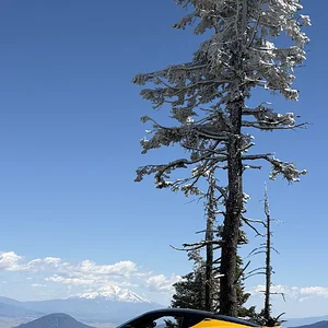 IMG_8628.webp
