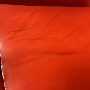 IMG_8708.webp