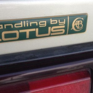Handling-by-Lotus.jpeg