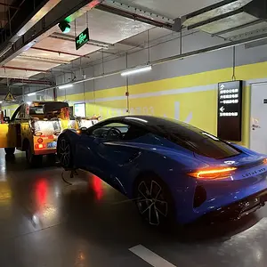 Lotus_3.jpg