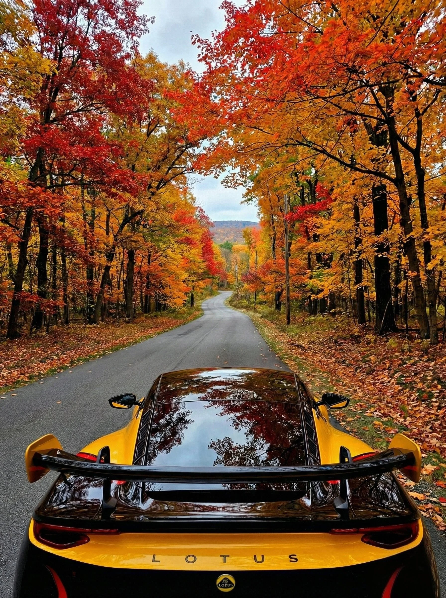 1765537515977 (2).webp