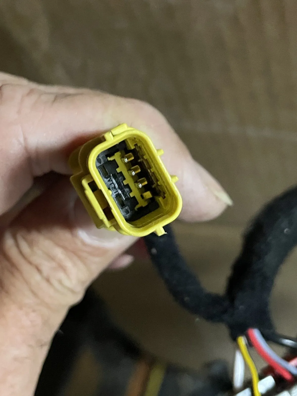 2023-09-05 10.56.31.jpg