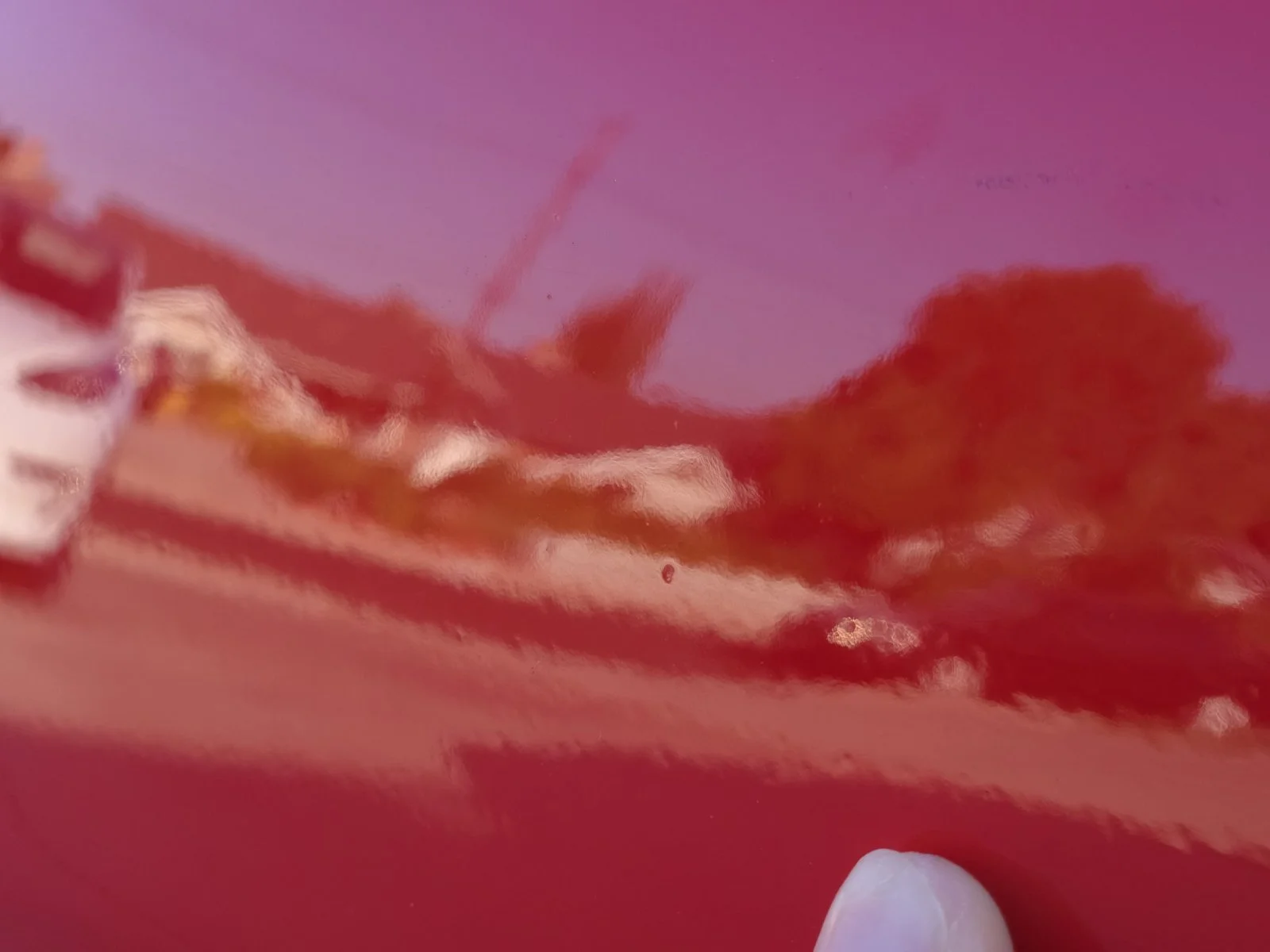 20240920_171928.jpg