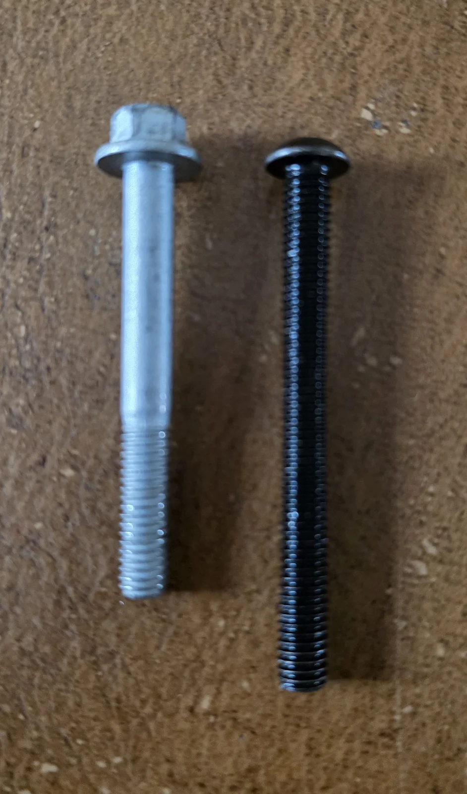 29079.webp
