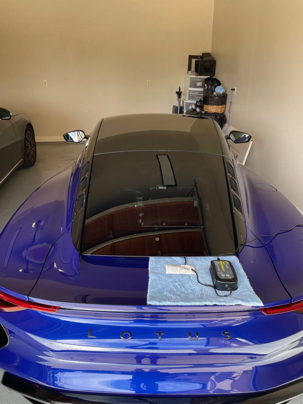 Charging Lotus .jpg