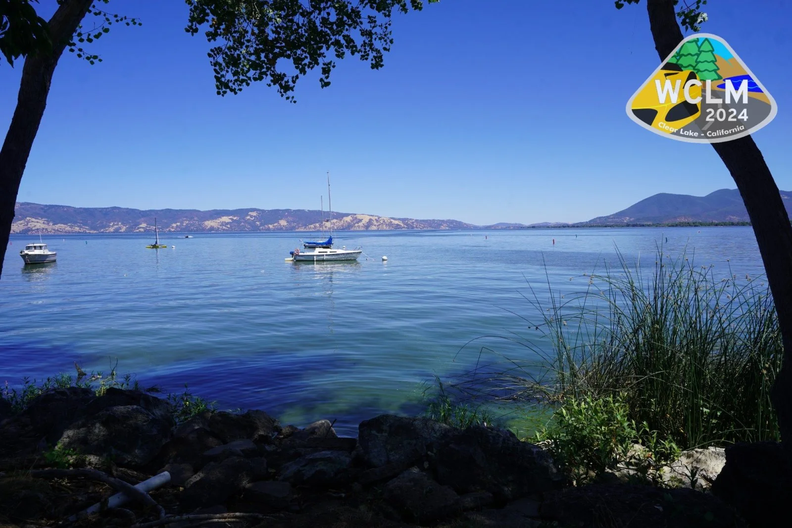 DSC00845 (Custom)wm.jpg